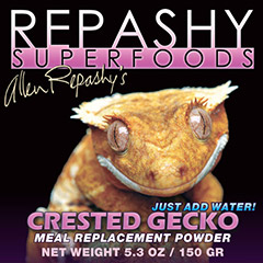 Repashy Kronengecko MRP